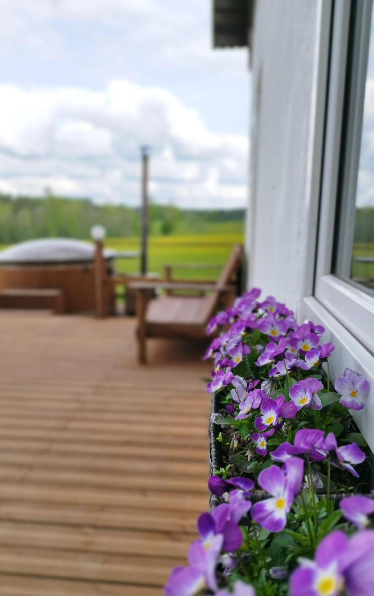 Guesthouse, Sauna & Jacuzzi In Gauja Valley - Kakukalns Straupe Ngoại thất bức ảnh
