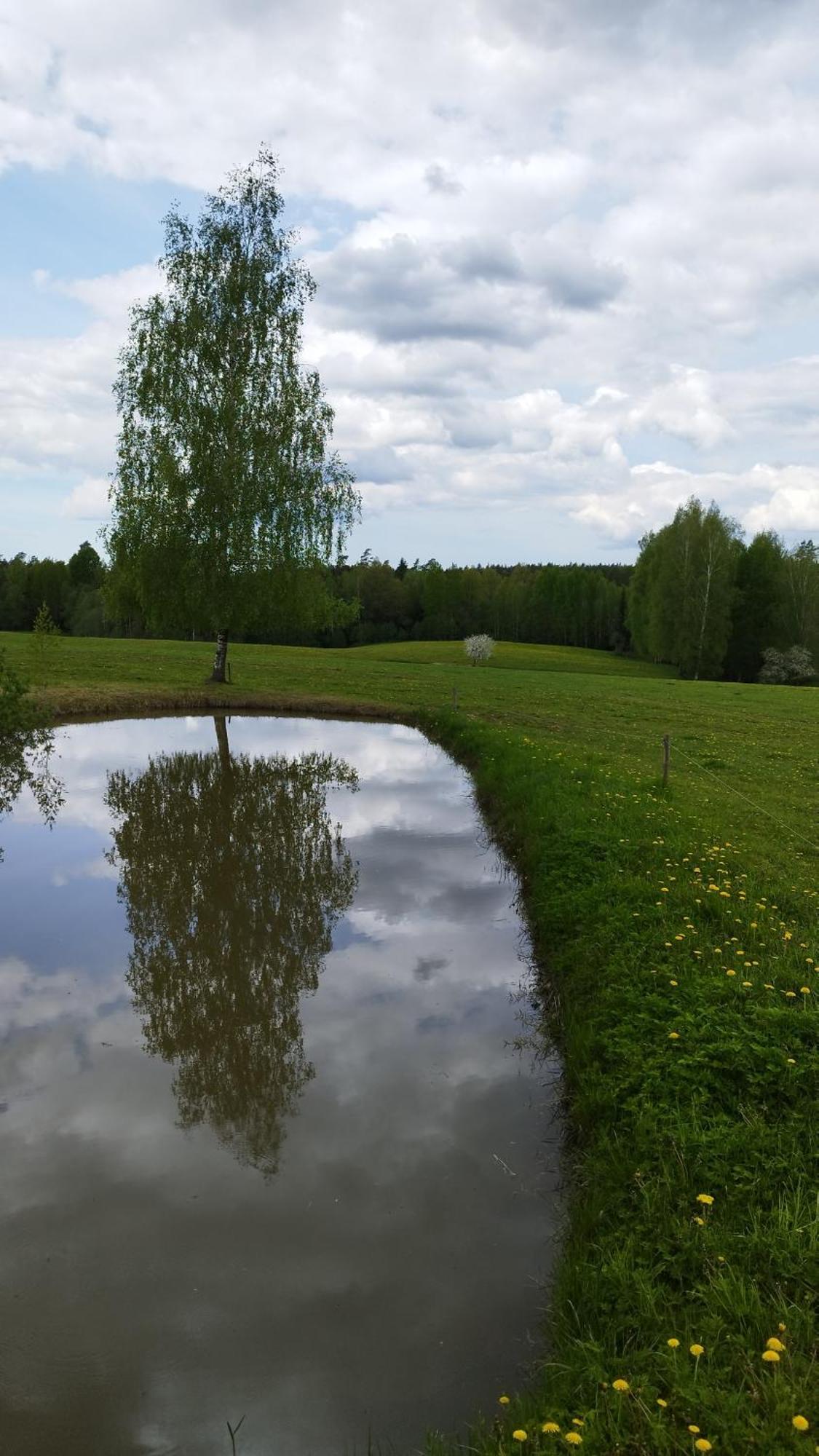 Guesthouse, Sauna & Jacuzzi In Gauja Valley - Kakukalns Straupe Ngoại thất bức ảnh